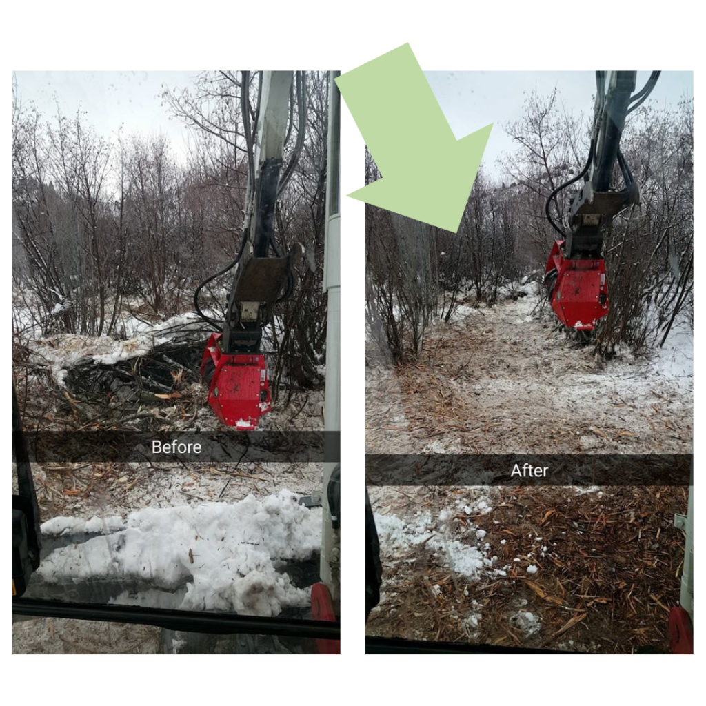 5Star SVCS Before and After of Services Offered Tree Clearing